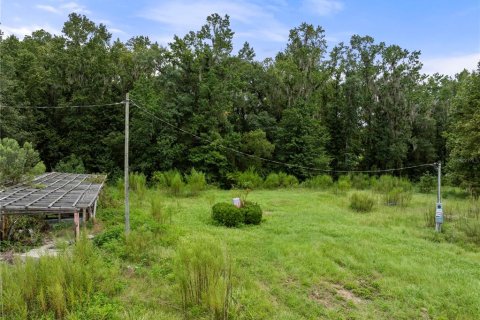 Land in Lake Butler, Florida № 1333765 - photo 4