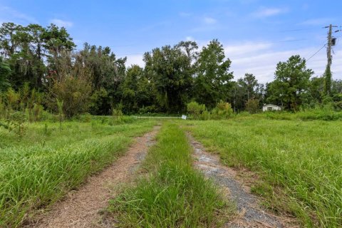 Land in Lake Butler, Florida № 1333765 - photo 8