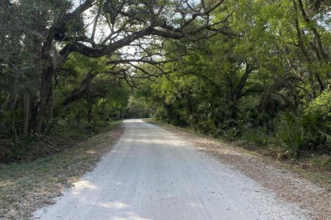 Terreno en venta en Okeechobee, Florida № 1227713 - foto 24