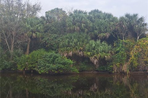 Land in Palm Coast, Florida № 872530 - photo 1