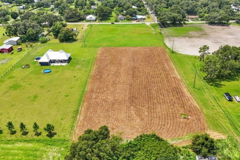 Terreno en venta en Plant City, Florida № 1333786 - foto 6