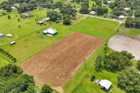 Land in Plant City, Florida № 1333786 - photo 5