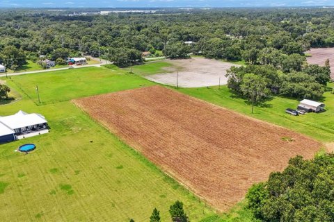 Land in Plant City, Florida № 1333786 - photo 4