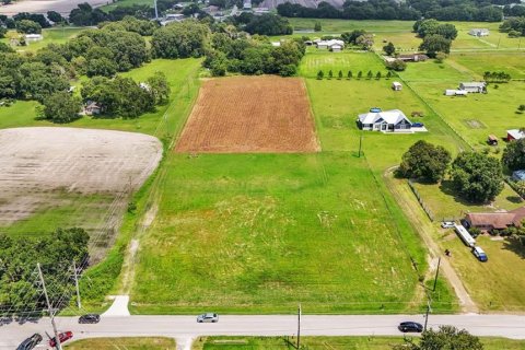 Terreno en venta en Plant City, Florida № 1333786 - foto 10