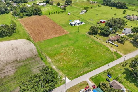 Land in Plant City, Florida № 1333786 - photo 9