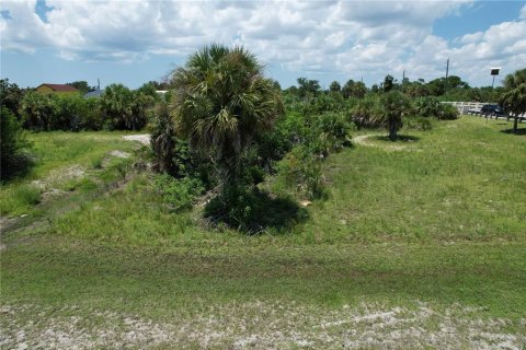 Land in Port Charlotte, Florida № 1326951 - photo 13