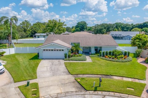 Villa ou maison à vendre à Tampa, Floride: 3 chambres, 222.5 m2 № 1403789 - photo 1