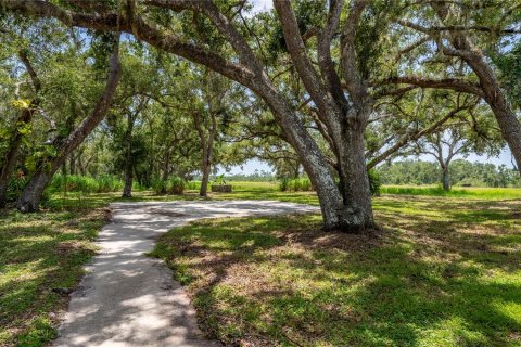 Commercial property in Punta Gorda, Florida 313.55 sq.m. № 1204349 - photo 25