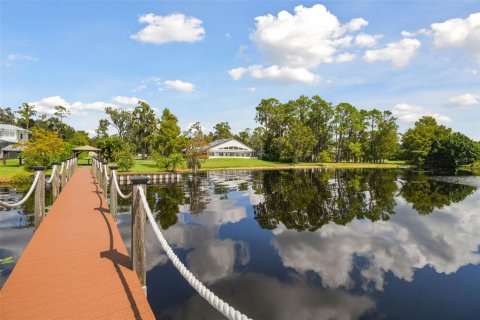 Villa ou maison à vendre à Orlando, Floride: 3 chambres, 365.11 m2 № 1384857 - photo 8