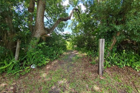 Terrain à vendre à Lakeland, Floride № 214282 - photo 2