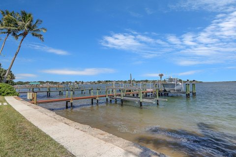 Villa ou maison à vendre à Stuart, Floride: 4 chambres, 641.21 m2 № 1154184 - photo 20