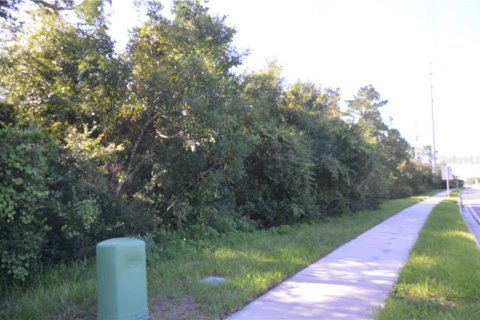 Terrain à vendre à Deltona, Floride № 213038 - photo 4