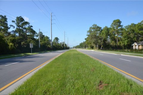 Terrain à vendre à Deltona, Floride № 213038 - photo 6