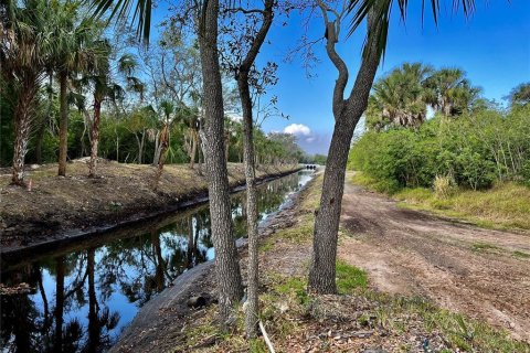 Terrain à vendre à Tampa, Floride № 393644 - photo 1