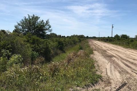 Land in Okeechobee, Florida № 1127993 - photo 7