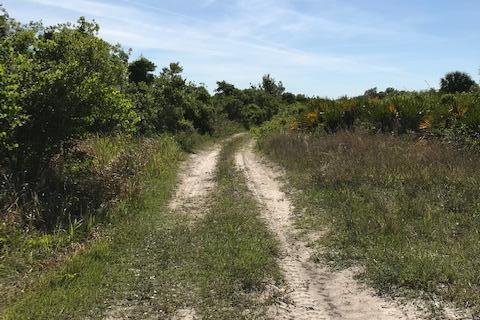 Land in Okeechobee, Florida № 1127993 - photo 22