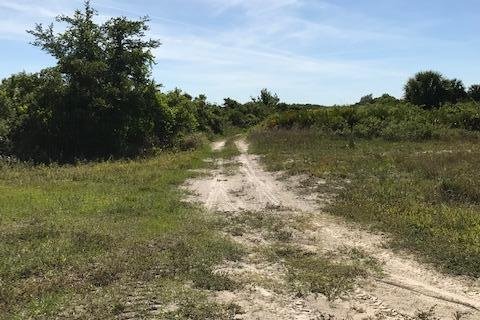 Land in Okeechobee, Florida № 1127993 - photo 24