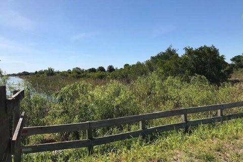 Land in Okeechobee, Florida № 1127993 - photo 29