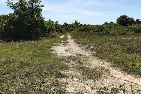 Land in Okeechobee, Florida № 1127993 - photo 23