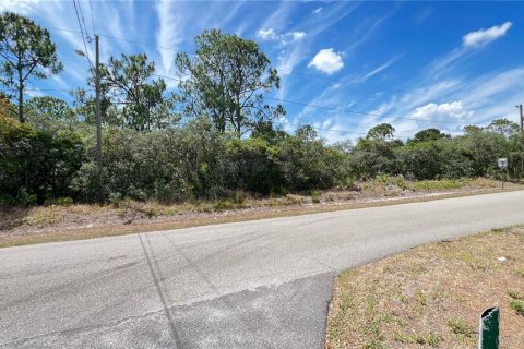 Land in Sebring, Florida № 1243441 - photo 4