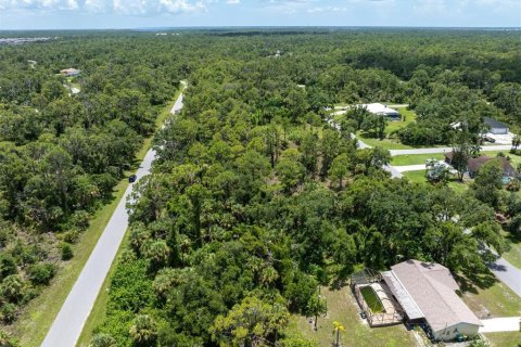 Land in Port Charlotte, Florida № 1261754 - photo 16