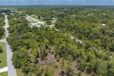 Land in Port Charlotte, Florida № 1261754 - photo 17