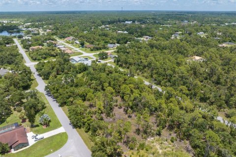 Land in Port Charlotte, Florida № 1261754 - photo 18