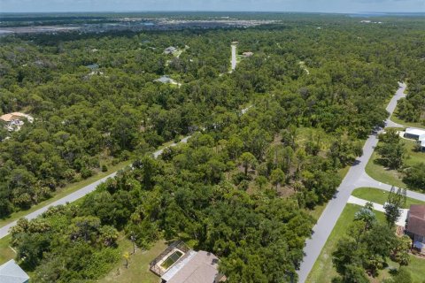 Land in Port Charlotte, Florida № 1261754 - photo 4