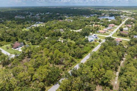 Land in Port Charlotte, Florida № 1261754 - photo 2