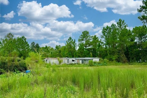 Terreno en venta en DeLand, Florida № 1364522 - foto 5