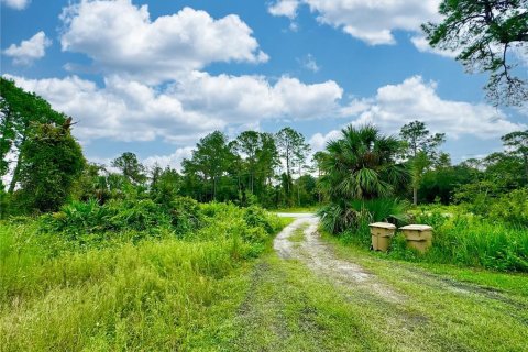 Terrain à vendre à DeLand, Floride № 1364522 - photo 6