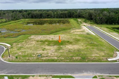 Terreno en venta en Flagler Beach, Florida № 1364526 - foto 6