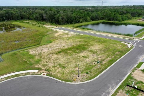 Land in Flagler Beach, Florida № 1364526 - photo 15