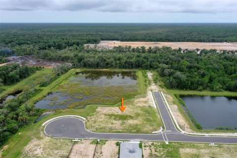 Land in Flagler Beach, Florida № 1364526 - photo 12