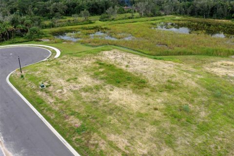 Land in Flagler Beach, Florida № 1364526 - photo 18