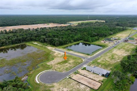 Terreno en venta en Flagler Beach, Florida № 1364526 - foto 11