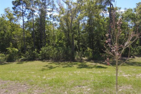 Townhouse in Holiday, Florida 3 bedrooms, 142.7 sq.m. № 1122681 - photo 28