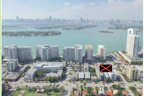 Купить земельный участок в Майами-Бич, Флорида 151.8м2, № 4645 - фото 3