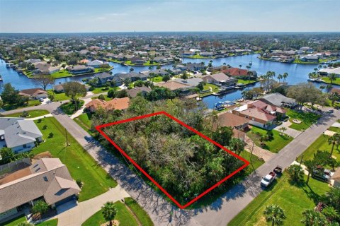 Terreno en venta en Palm Coast, Florida № 1416686 - foto 9