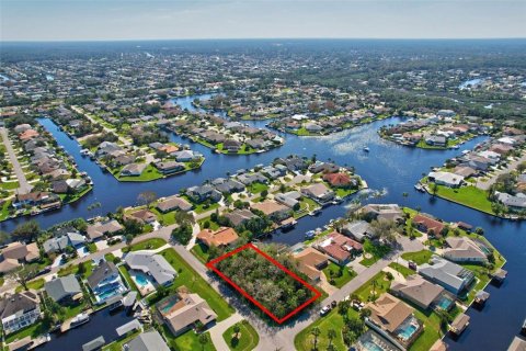 Terreno en venta en Palm Coast, Florida № 1416686 - foto 6