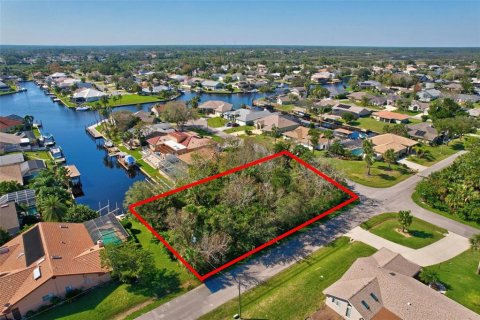 Terreno en venta en Palm Coast, Florida № 1416686 - foto 2