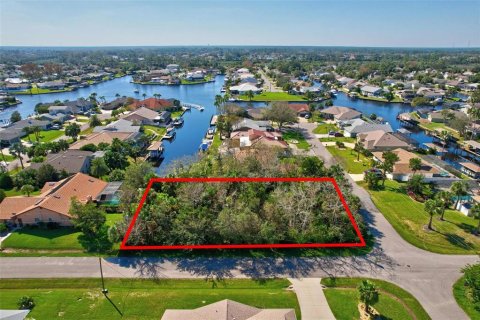 Terreno en venta en Palm Coast, Florida № 1416686 - foto 1