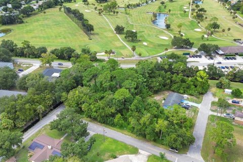 Terreno en venta en New Smyrna Beach, Florida № 1334849 - foto 7