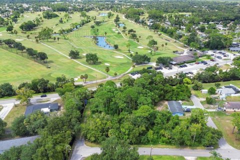 Land in New Smyrna Beach, Florida № 1334849 - photo 6