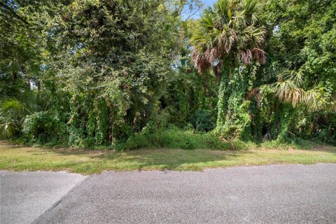 Terreno en venta en New Smyrna Beach, Florida № 1334849 - foto 3