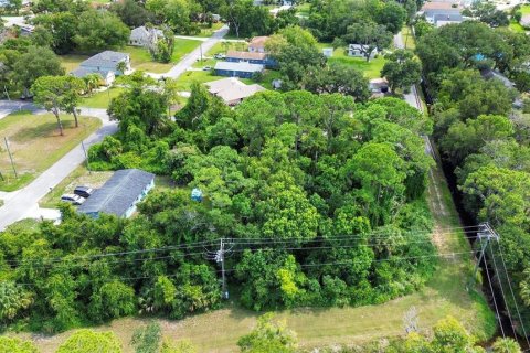 Terreno en venta en New Smyrna Beach, Florida № 1334849 - foto 1