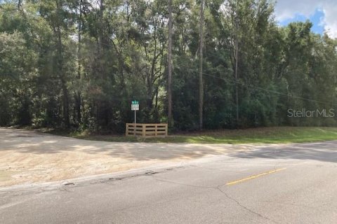 Land in Archer, Florida № 1334803 - photo 18