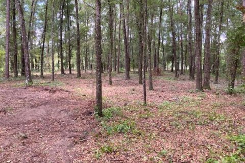 Terrain à vendre à Archer, Floride № 1334803 - photo 6