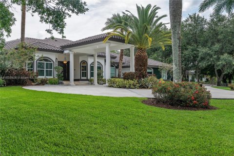 Casa en venta en Southwest Ranches, Florida, 5 dormitorios, 388.05 m2 № 1011458 - foto 12