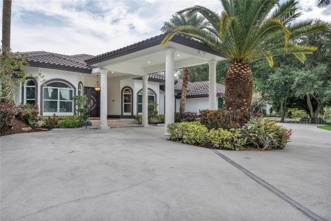 Casa en venta en Southwest Ranches, Florida, 5 dormitorios, 388.05 m2 № 1011458 - foto 10